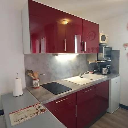 Avec Animaux Admis - 3 Pers. - Fr-1-516-228 * Les Deux Alpes