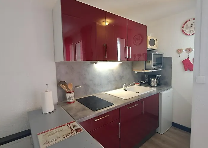 Avec Animaux Admis - 3 Pers. - Fr-1-516-228 * Les Deux Alpes